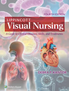 Lippincott Visual Nursing : A Guide to Clinical Diseases Skills and Treatments