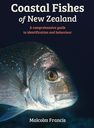 Coastal Fishes of New Zealand