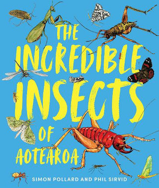 The Incredible Insects of Aotearoa