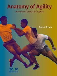 Anatomy of Agility Movement Analysis in Sport