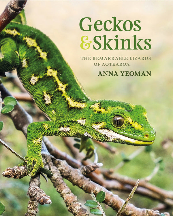 Geckos & Skinks : The remarkable lizards of Aotearoa