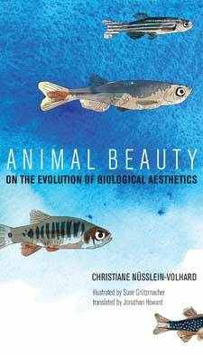 Animal Beauty : On the Evolution of Biological Aesthetics