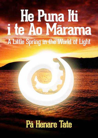 He Puna Iti i te Ao Marama : A Little Spring in the World of Light