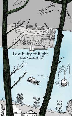 Possibility of Flight