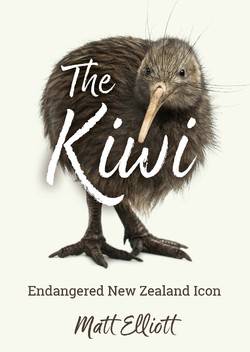 The Kiwi : Endangered New Zealand Icon