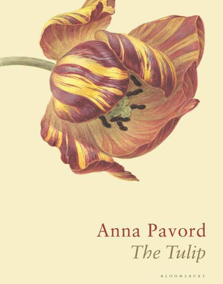 The Tulip : The Story of a Flower That Has Made Men Mad