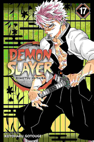 Demon Slayer : Kimetsu no Yaiba : Volume 17