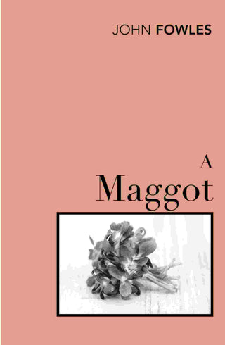 A Maggot : Vintage Classics