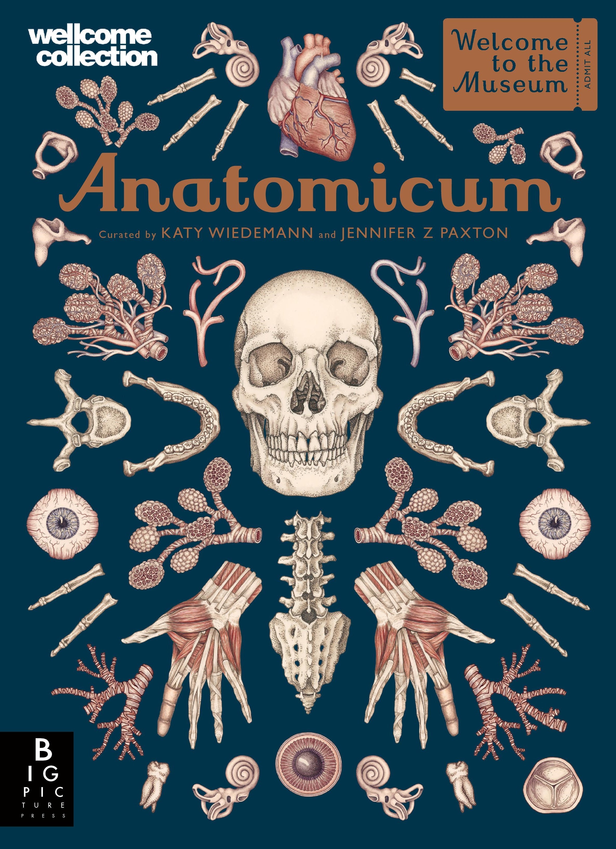 Anatomicum: Welcome to the Museum