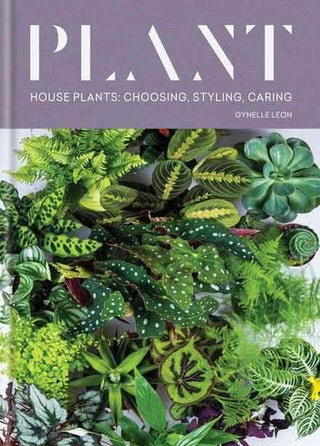 Plant : House Plants : Choosing Styling Caring