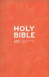 Holy Bible : NIV Popular Paperback Bible