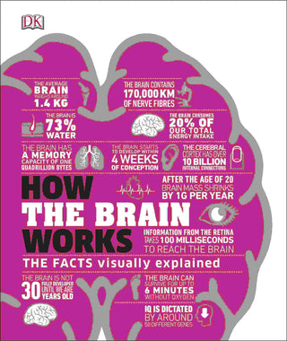 How the Brain Works