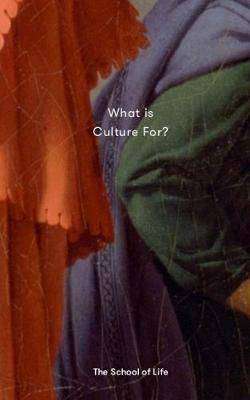 What Is Culture For ?