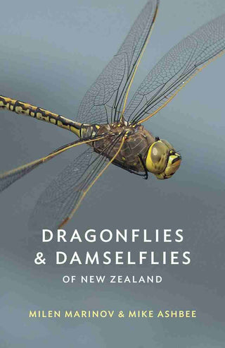 Dragonflies and Damselflies of New Zealand