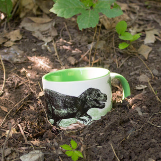 Dinosaur : Disappearing Mug