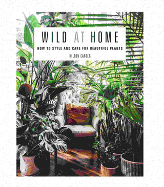 Wild at Home : How to Style and Care for Beautiful Plants