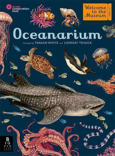 Oceanarium: Welcome To The Museum