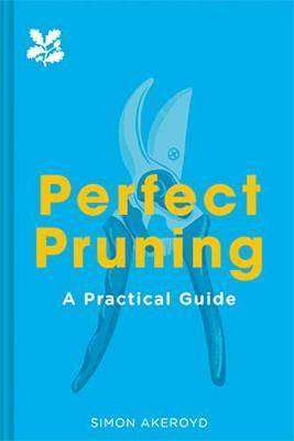 Perfect Pruning : A Practical Guide