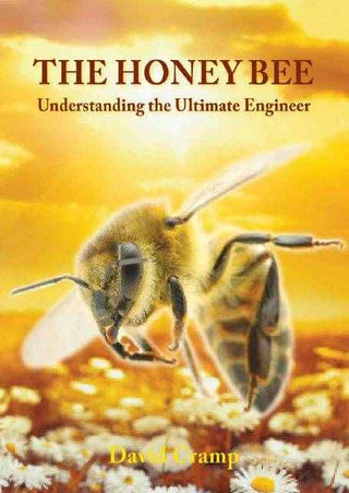 The Honey Bee : Understanding the Ultimate Engineer