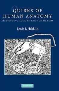 Quirks of Human Anatomy An Evo Devo Look at the Human Body