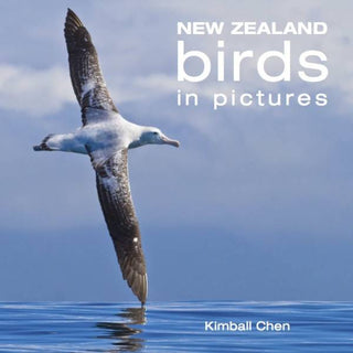 New Zealand Birds in Pictures