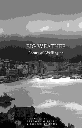 Big Weather : Poems of Wellington