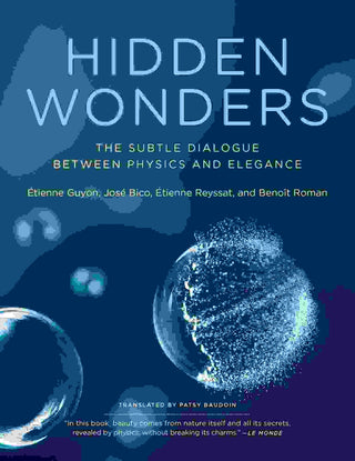 Hidden Wonders : The Subtle Dialogue Between Physics and Elegance